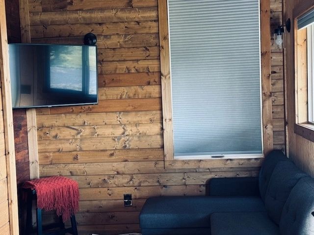 Cabin living room with TV and couch